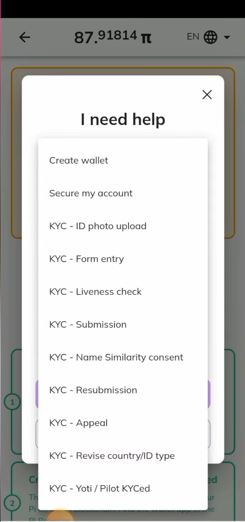PI KYC Review