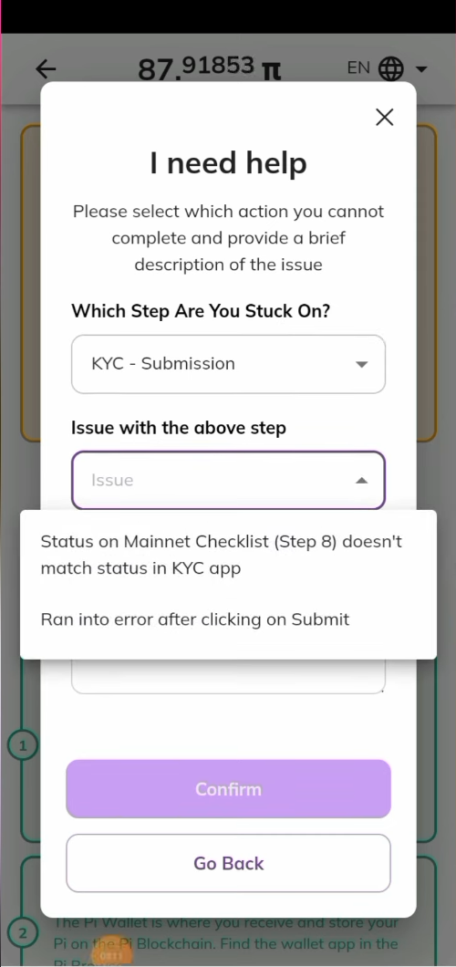 PI KYC Review