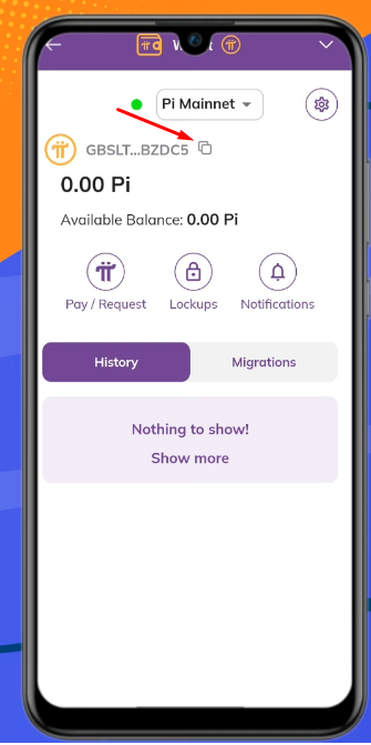 withdraw pi coin